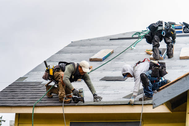 Professional Storm Damage Roof Repair technician working in Dansville, NY